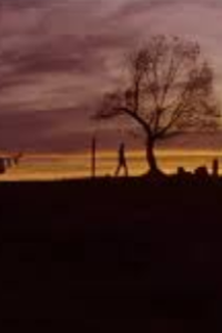 Unforgiven